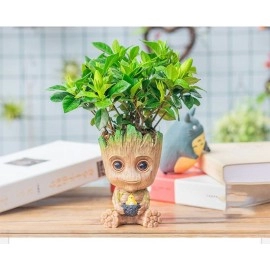 Strongwell Home Garden Succulent Flower Pot Planter Cartoon Figures Toy Tree Man Desktop Decorations Gift Crafts